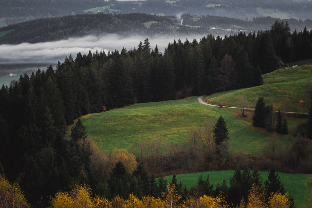 Pfänder