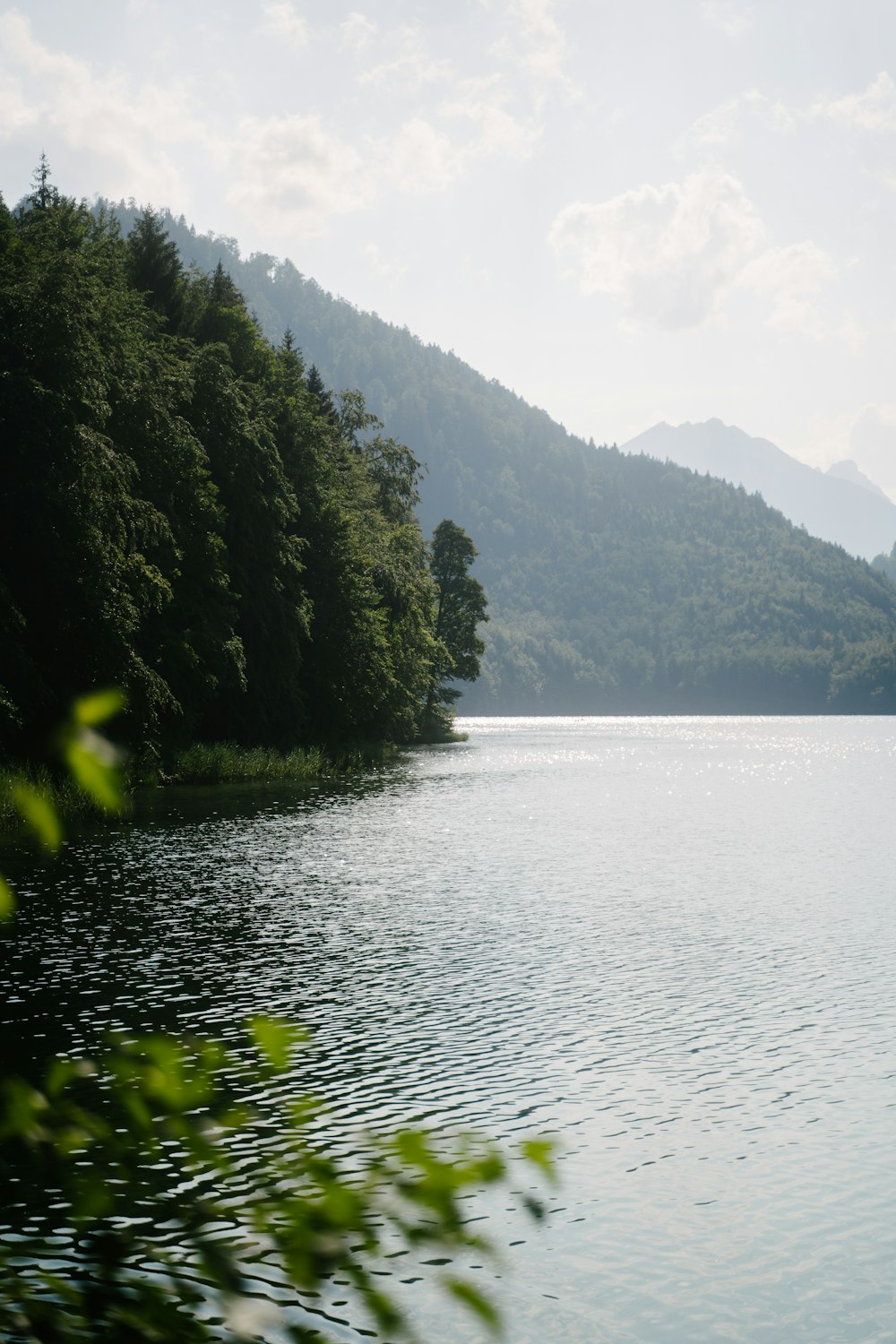 Alpsee