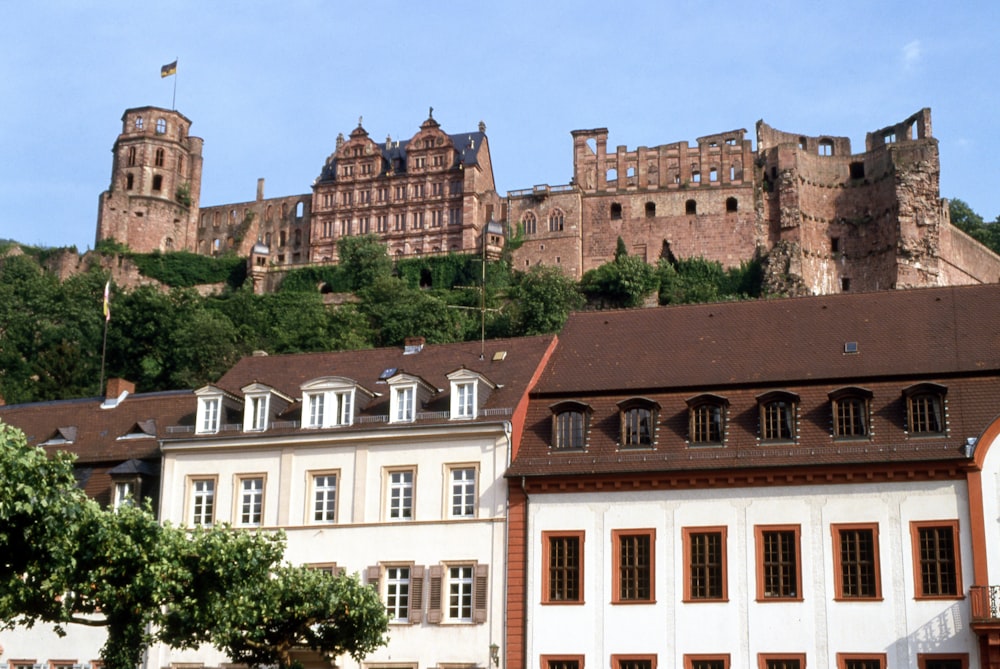 Universitätsbibliothek Heidelberg