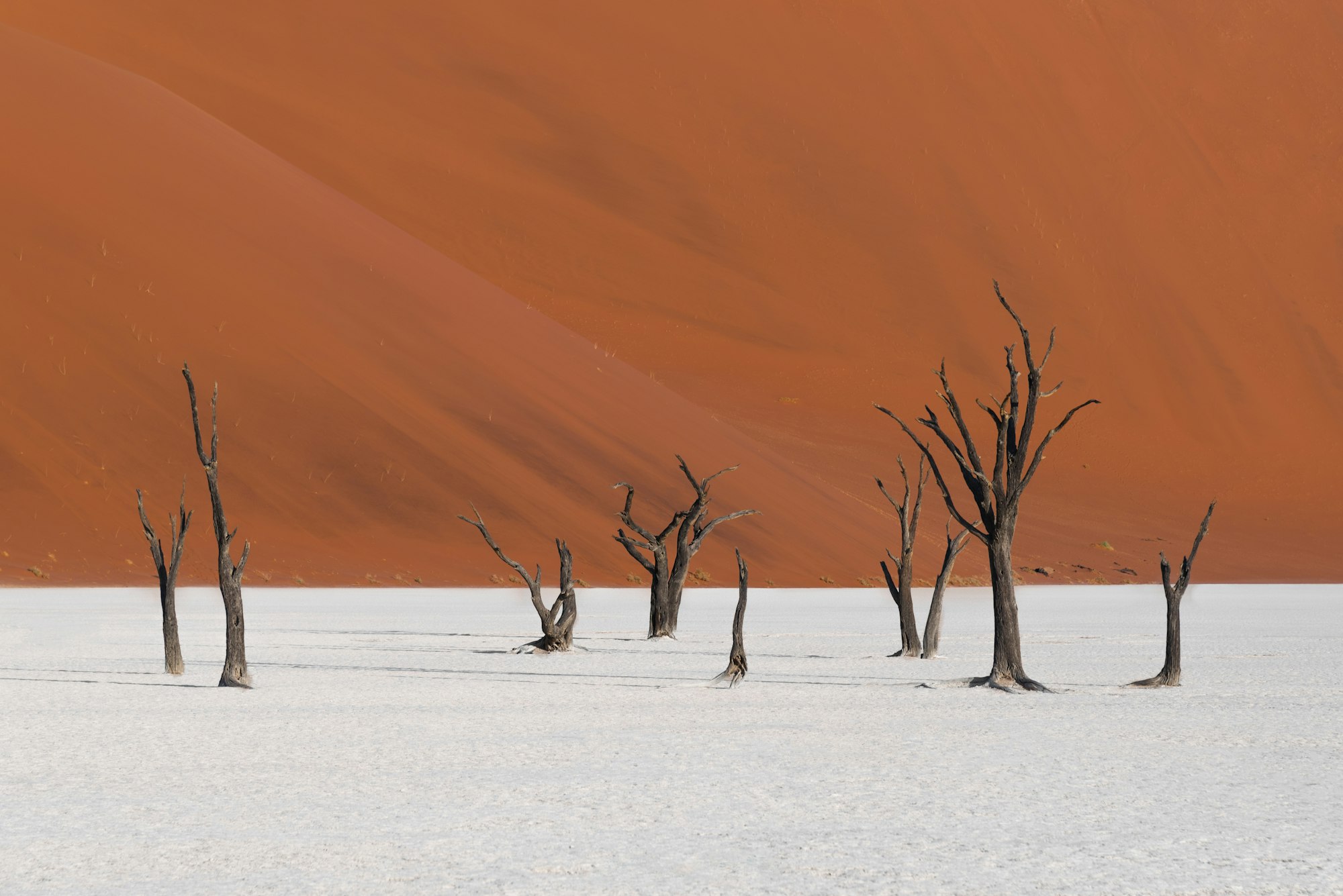 Deadvlei, Sesriem, Namibia