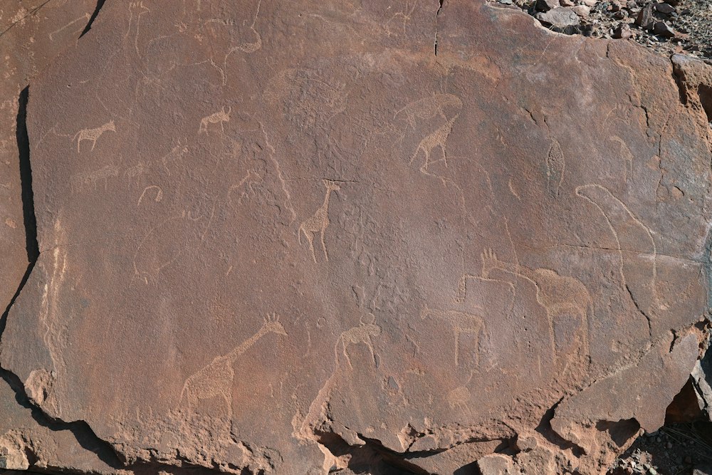 Twyfelfontein Rock Engravings