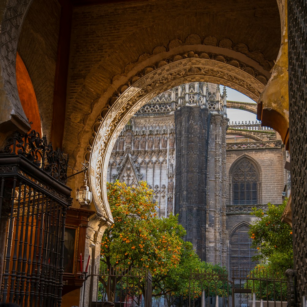 Seville Cathedral