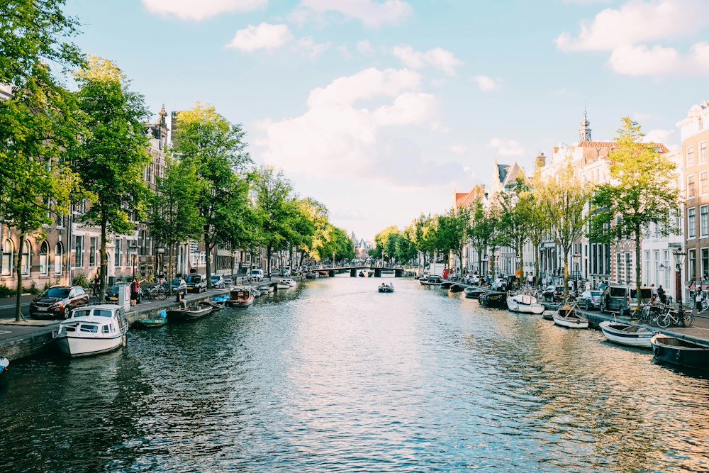 Canals of Amsterdam