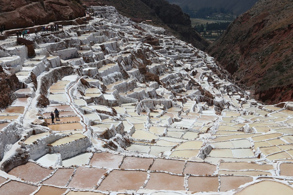 Maras