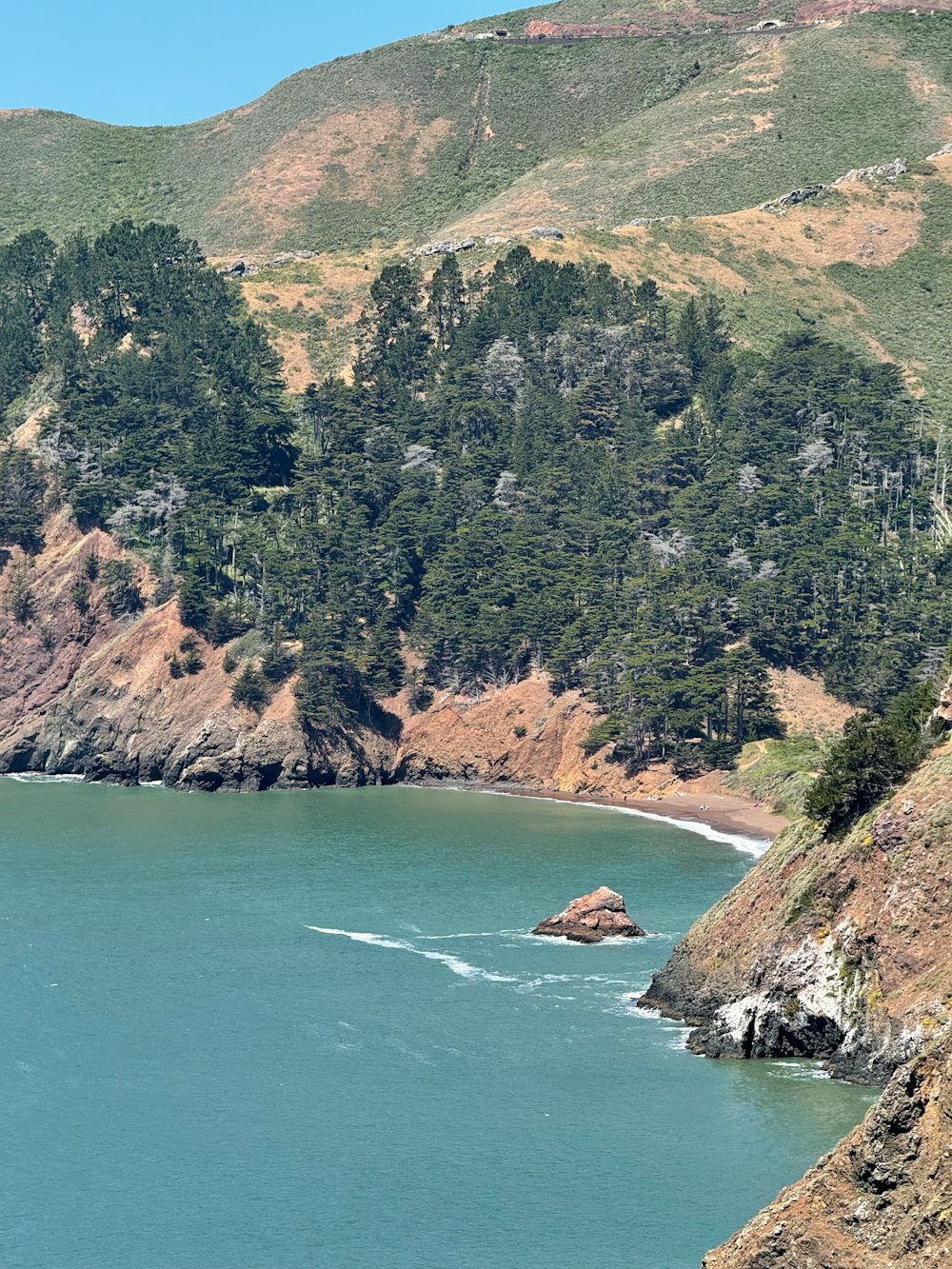 Golden Gate Park