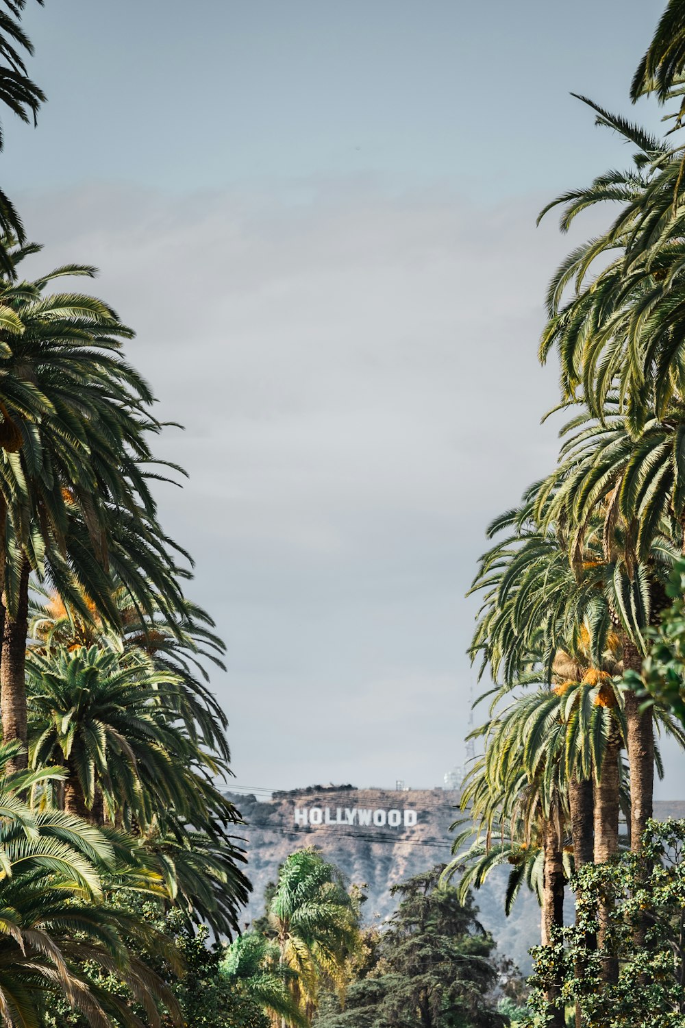 Hollywood Sign