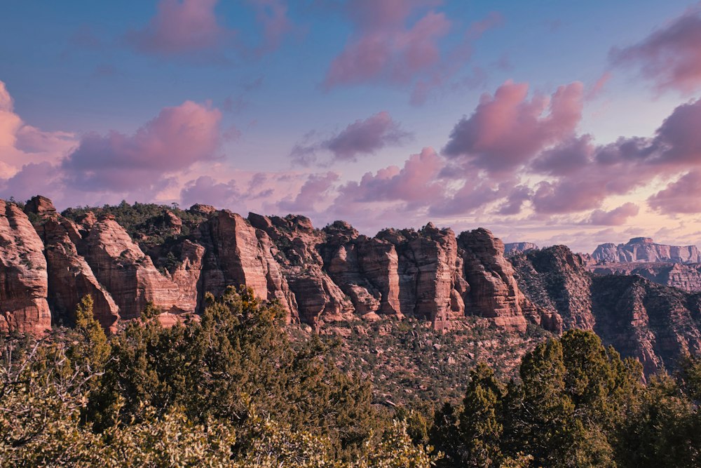 Zion National Park