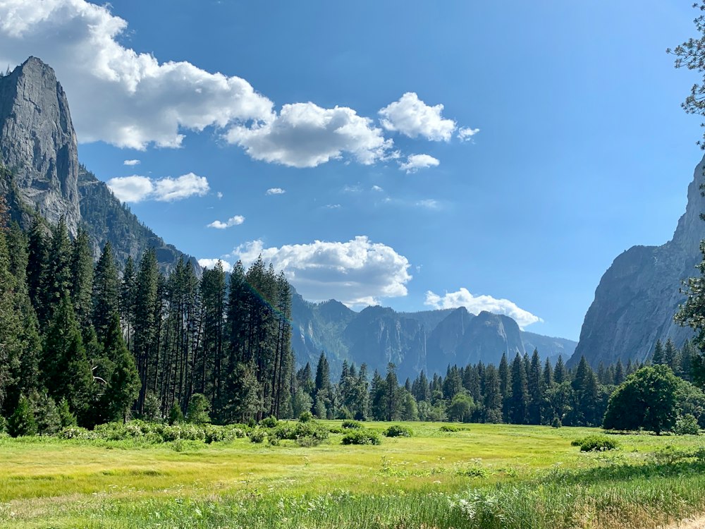 Yosemite National Park