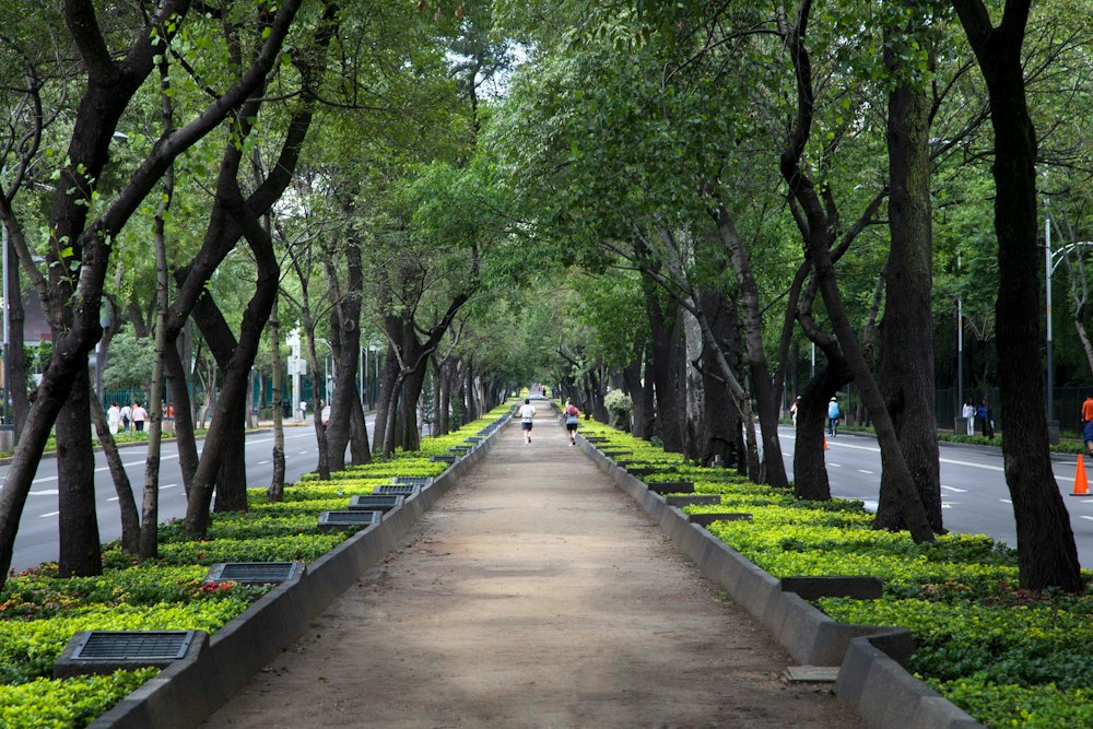 Chapultepec Park