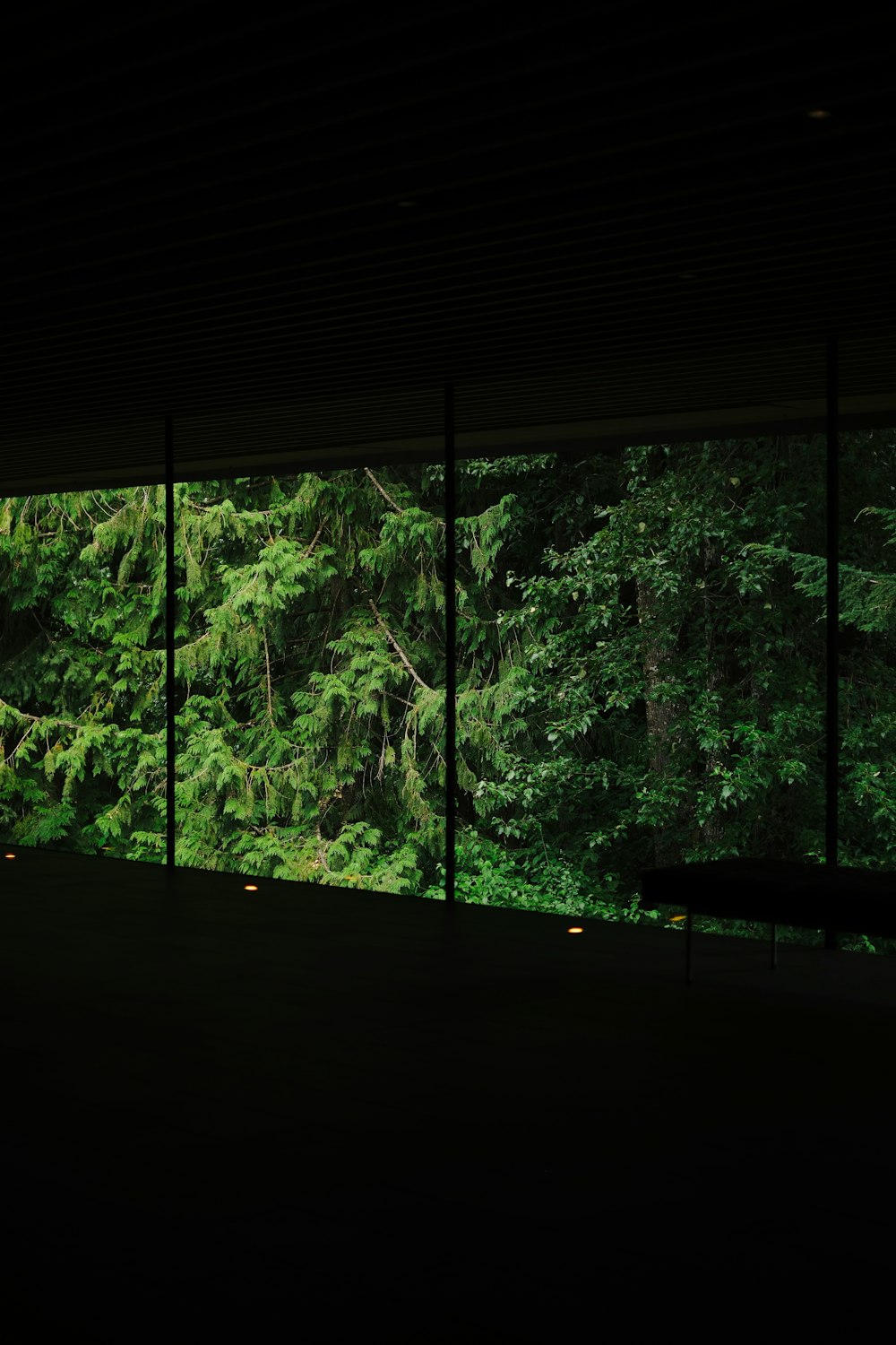Audain Art Museum