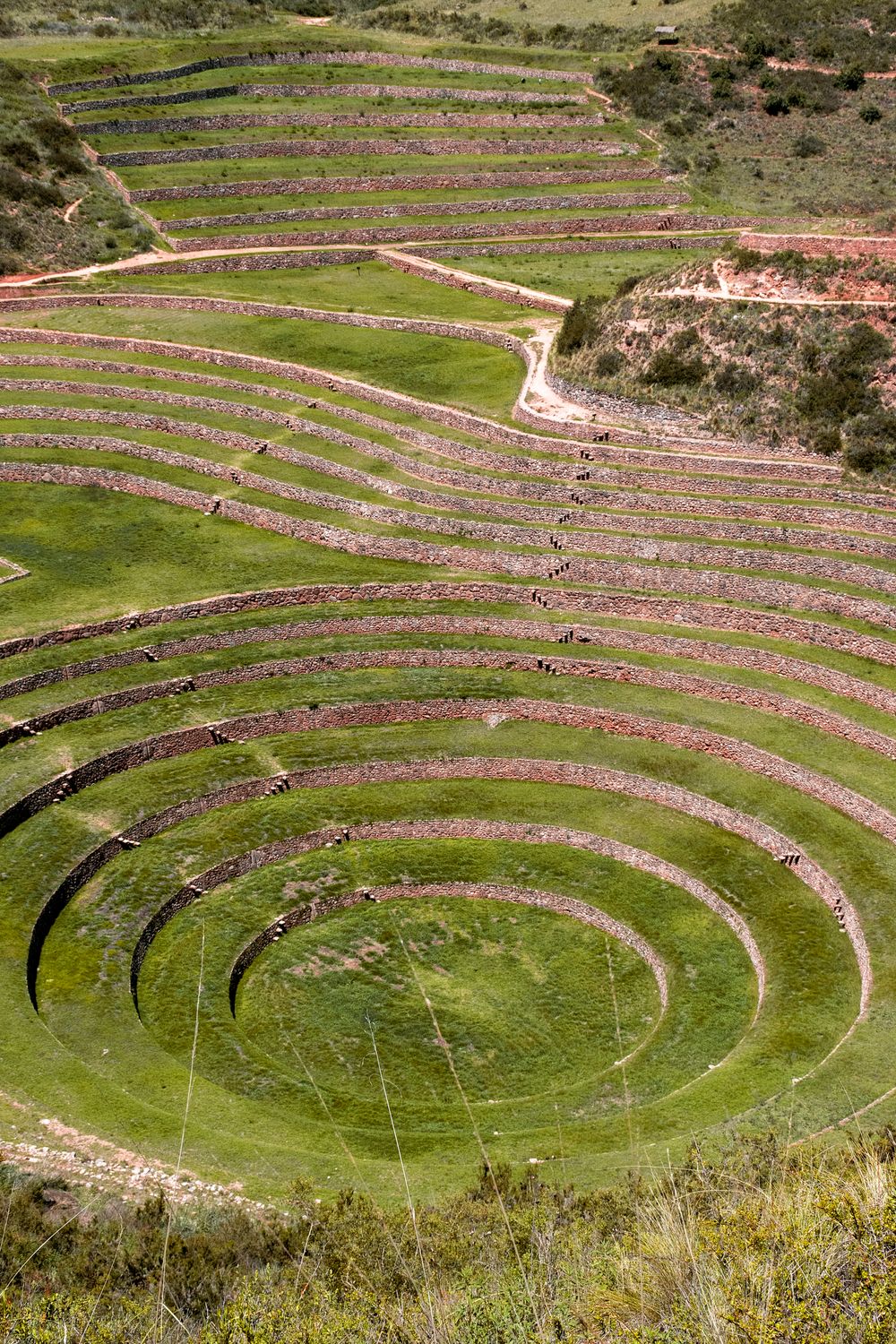 Moray