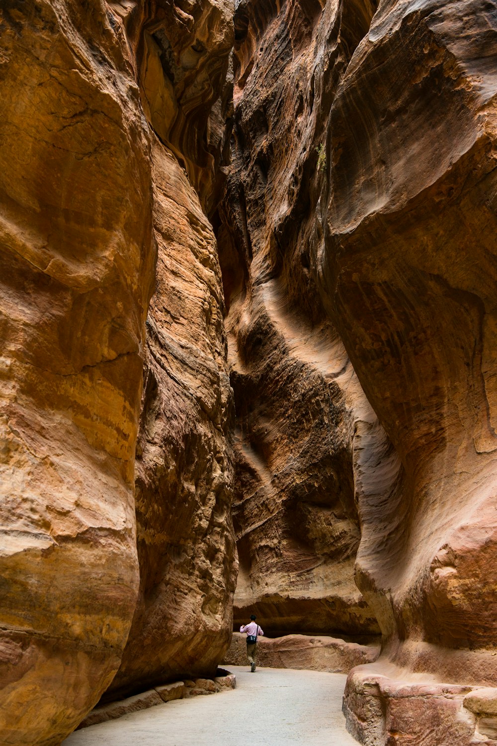 Petra