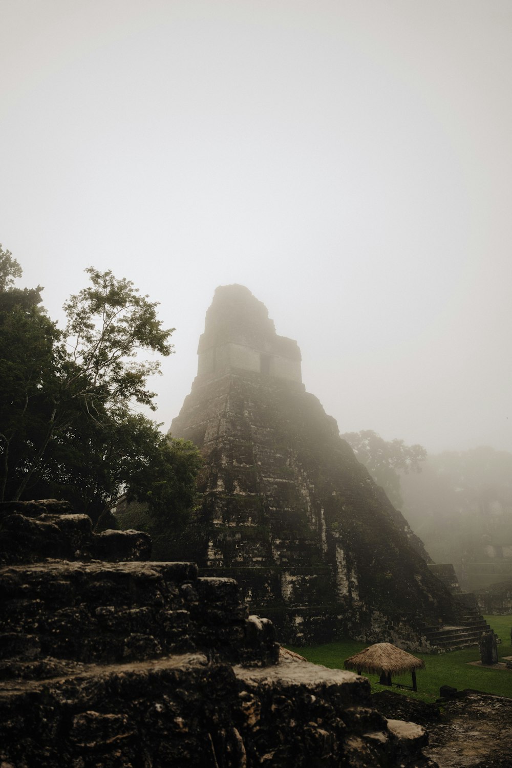 Tikal