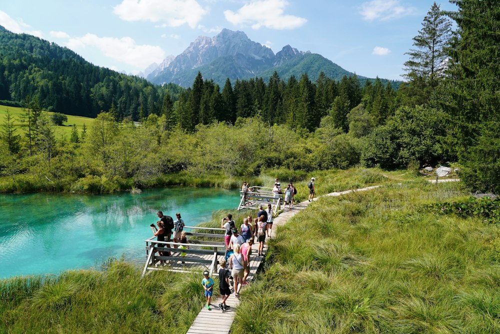Zelenci