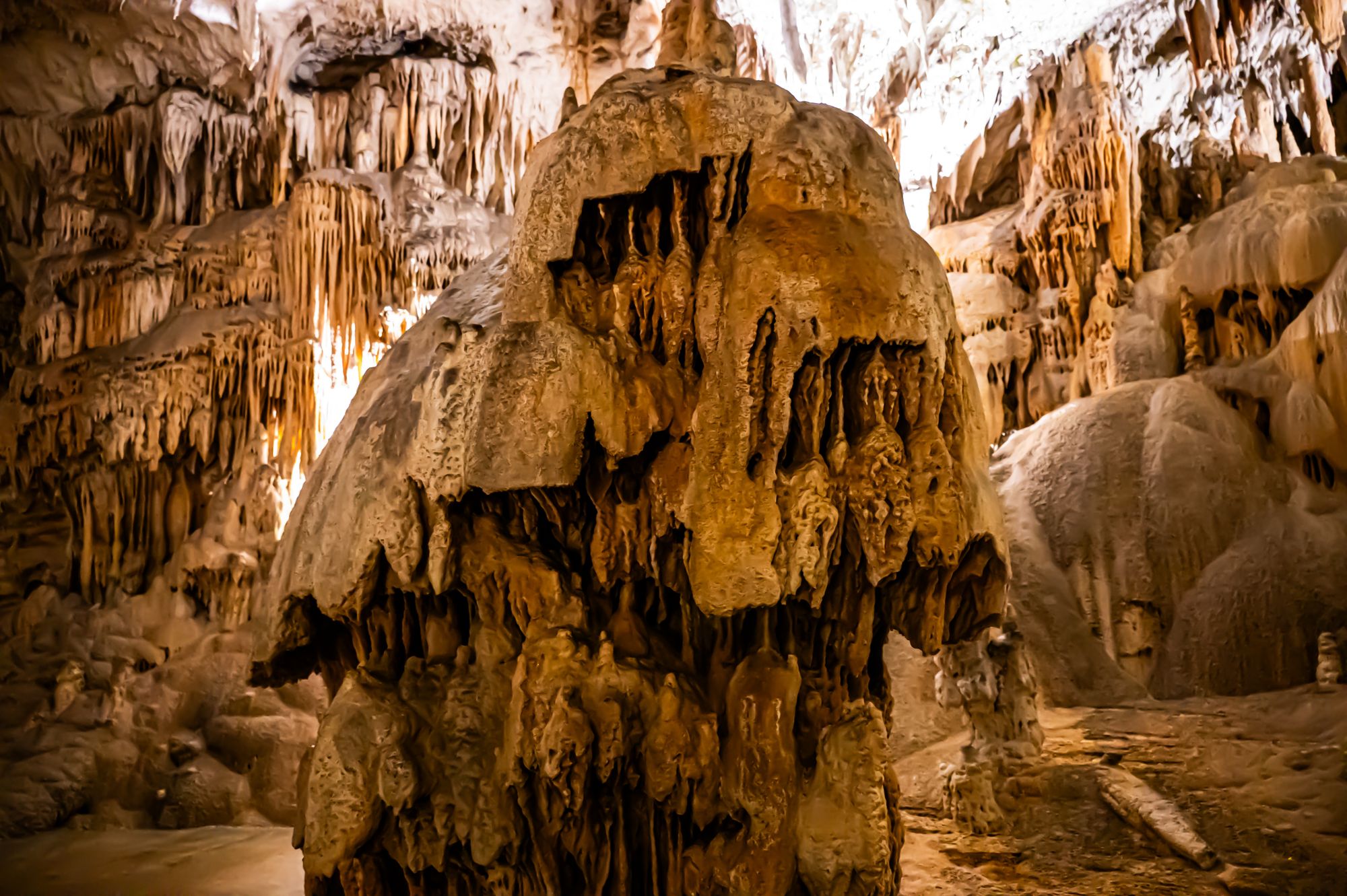 Postojna Cave, Ljubljana, Slovenia
