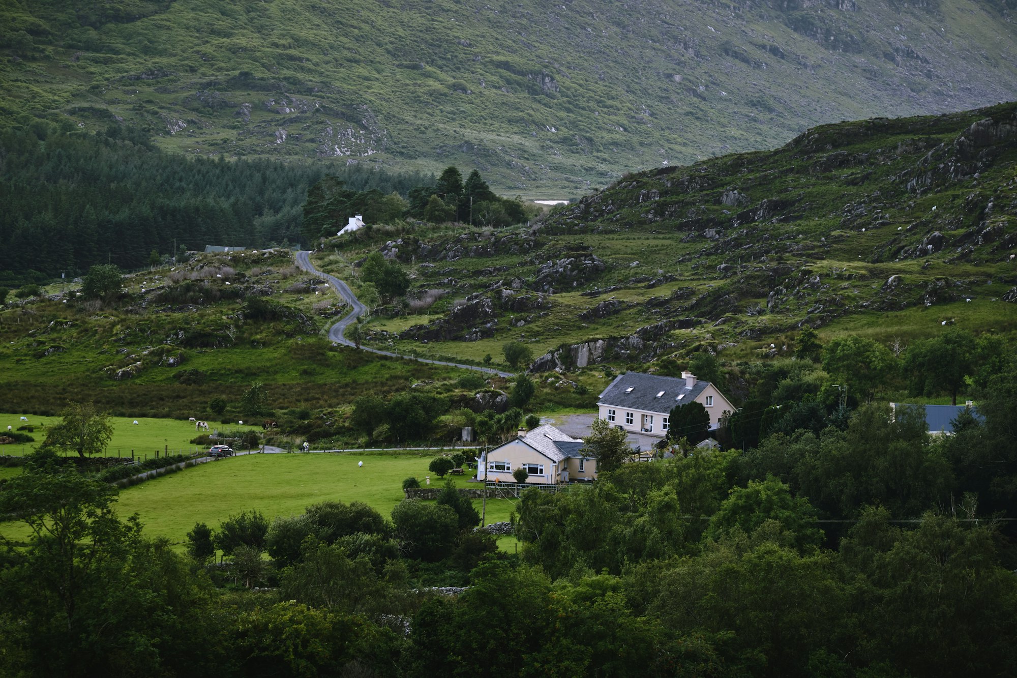 A narrow road winding through a green Kerry valley past farmhouses, below rocky hills