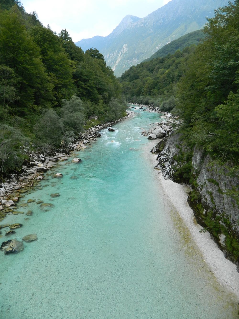 Soča