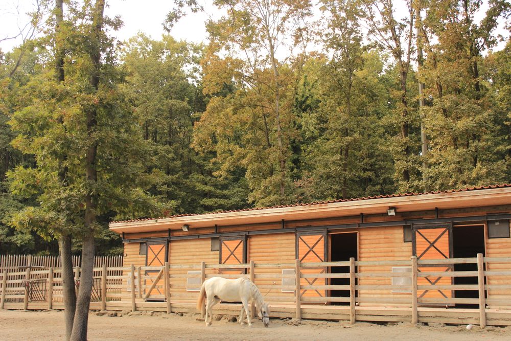 Lipica Stud Farm