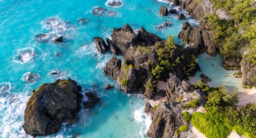 Jobson's Cove from the air