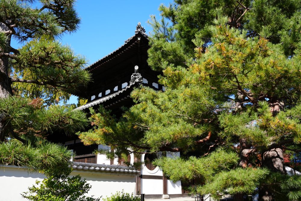 Kyoto National Museum