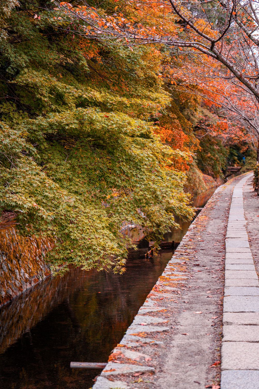 Philosopher's Path