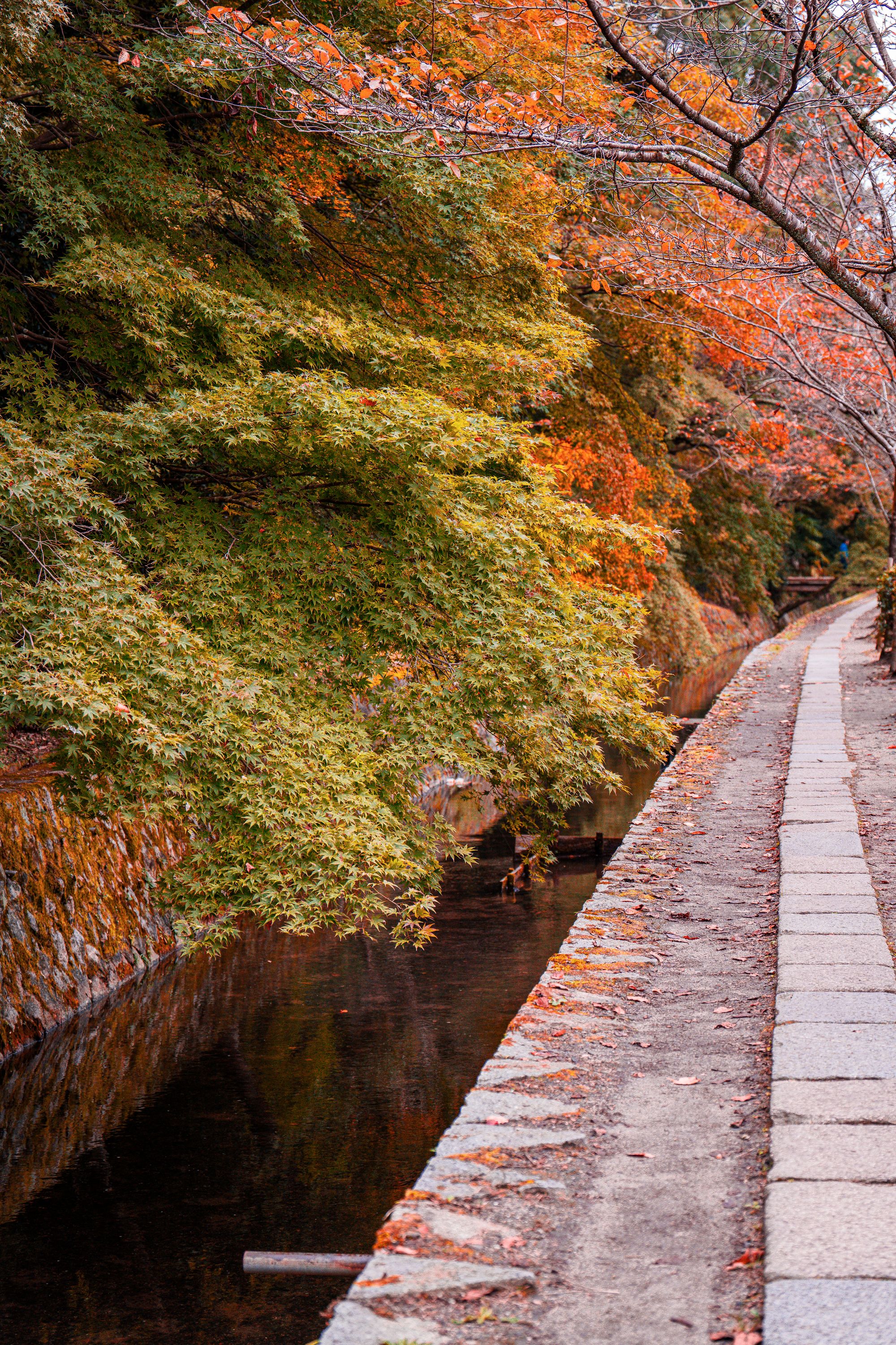 Philosopher's Path, Kyoto, Japan