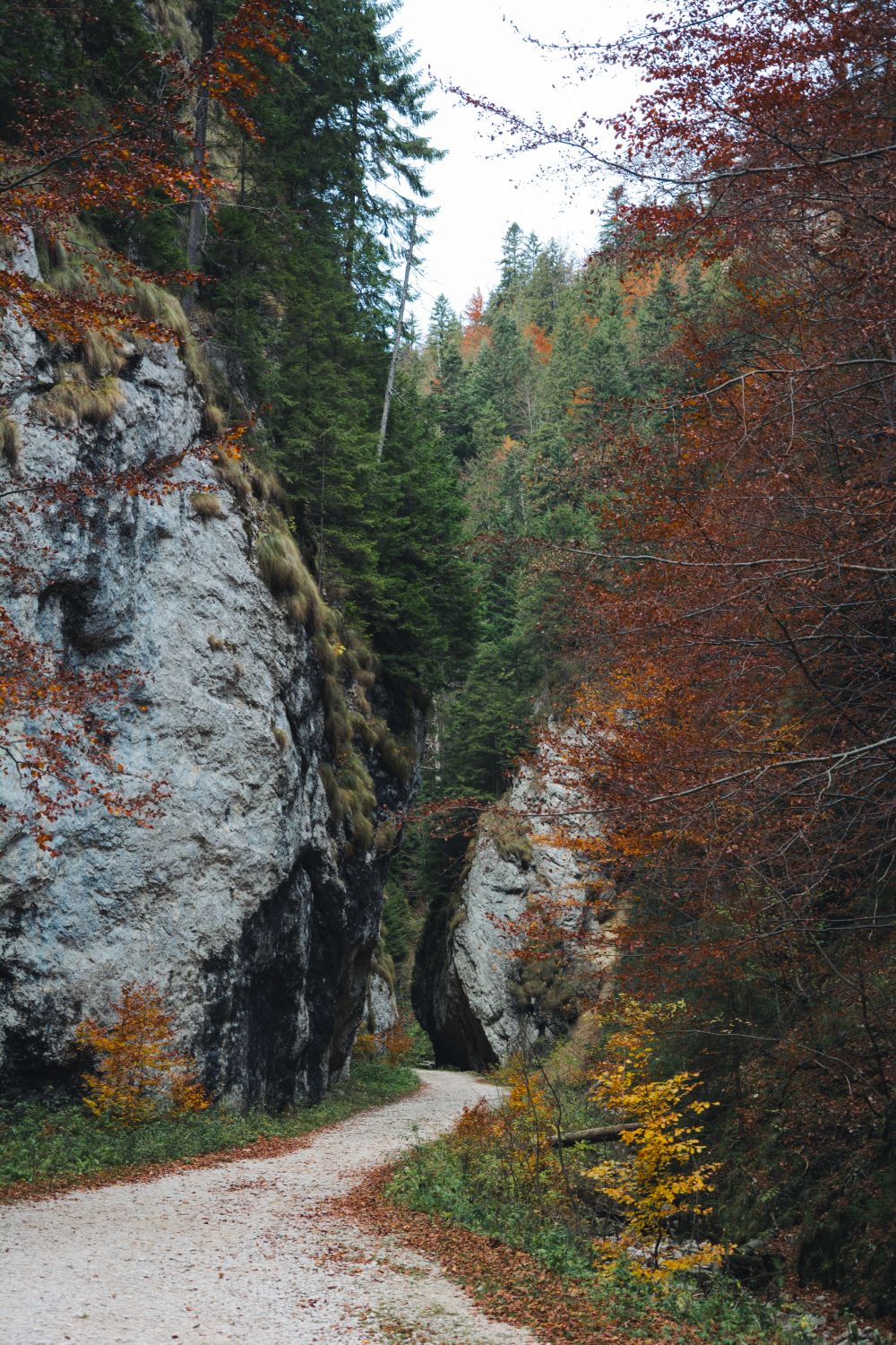 Piatra Ucigașului