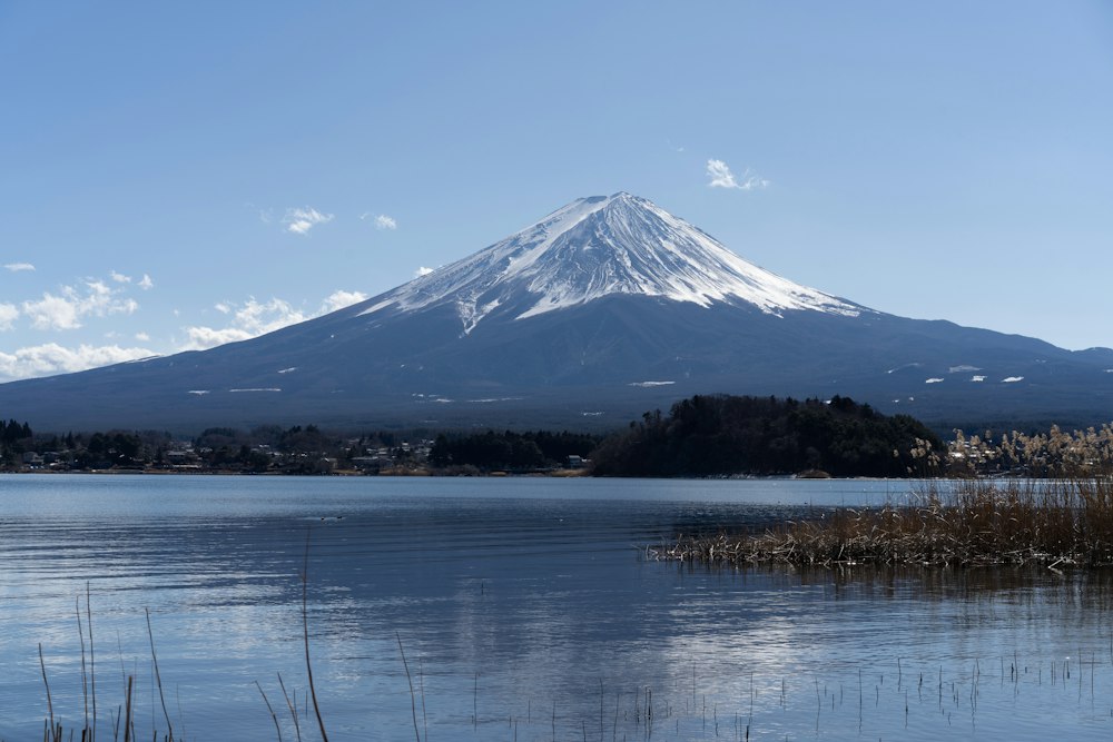 Oishi Park