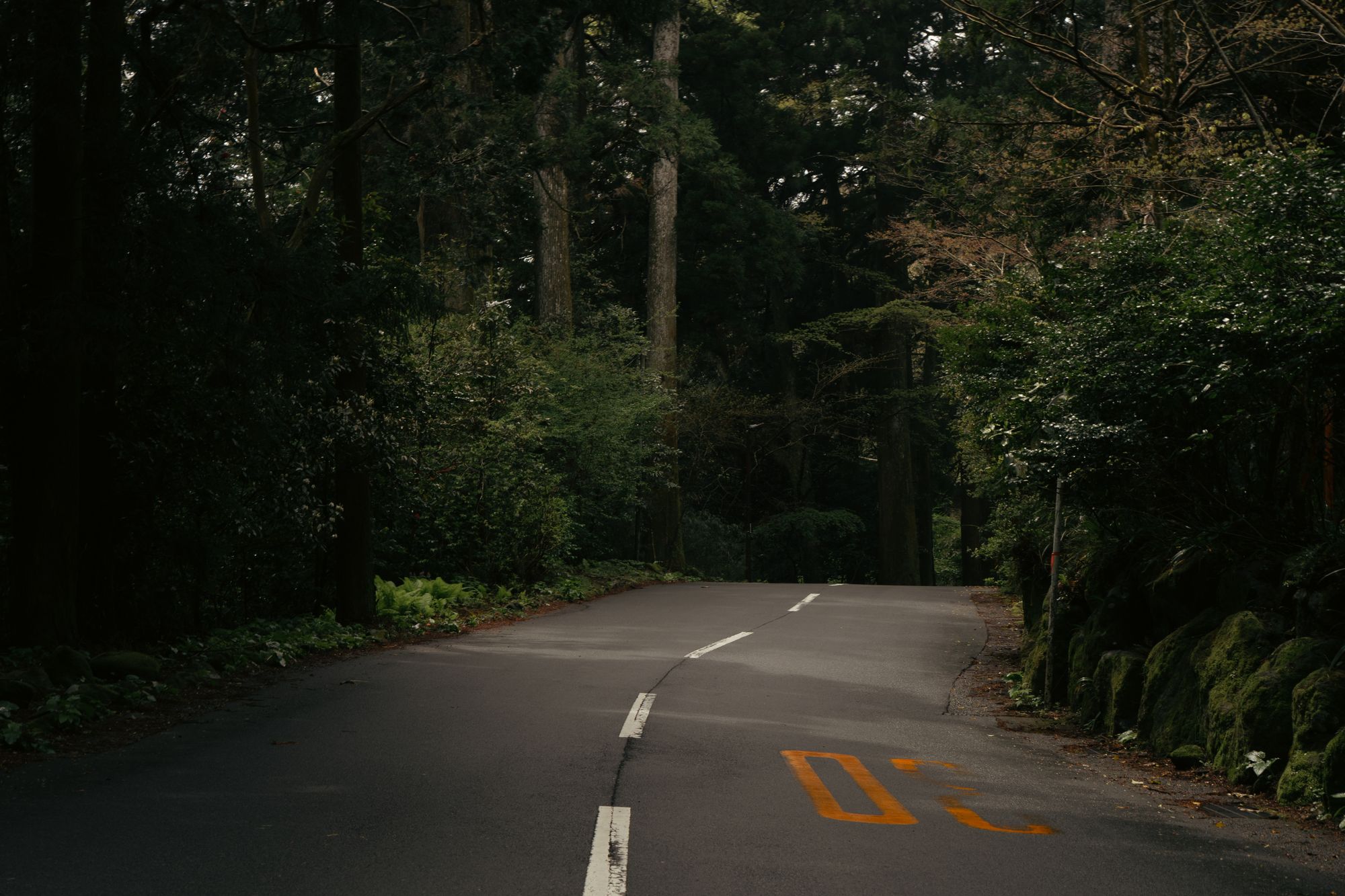Old Hakone Highway, Hakone, Japan