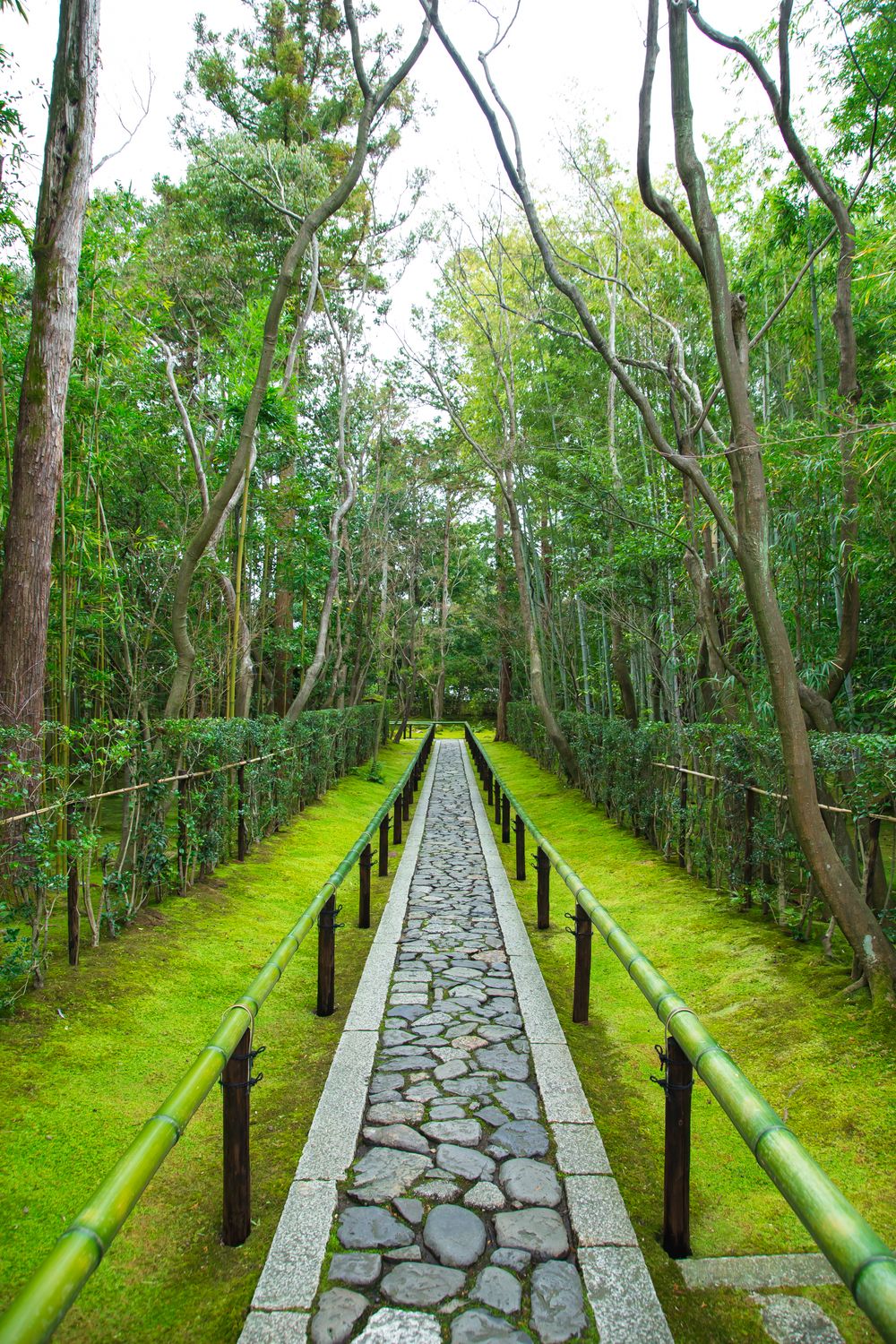 Daitoku-ji