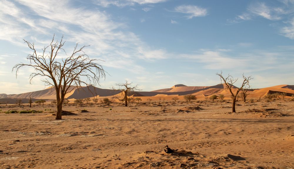 Sesriem Camp
