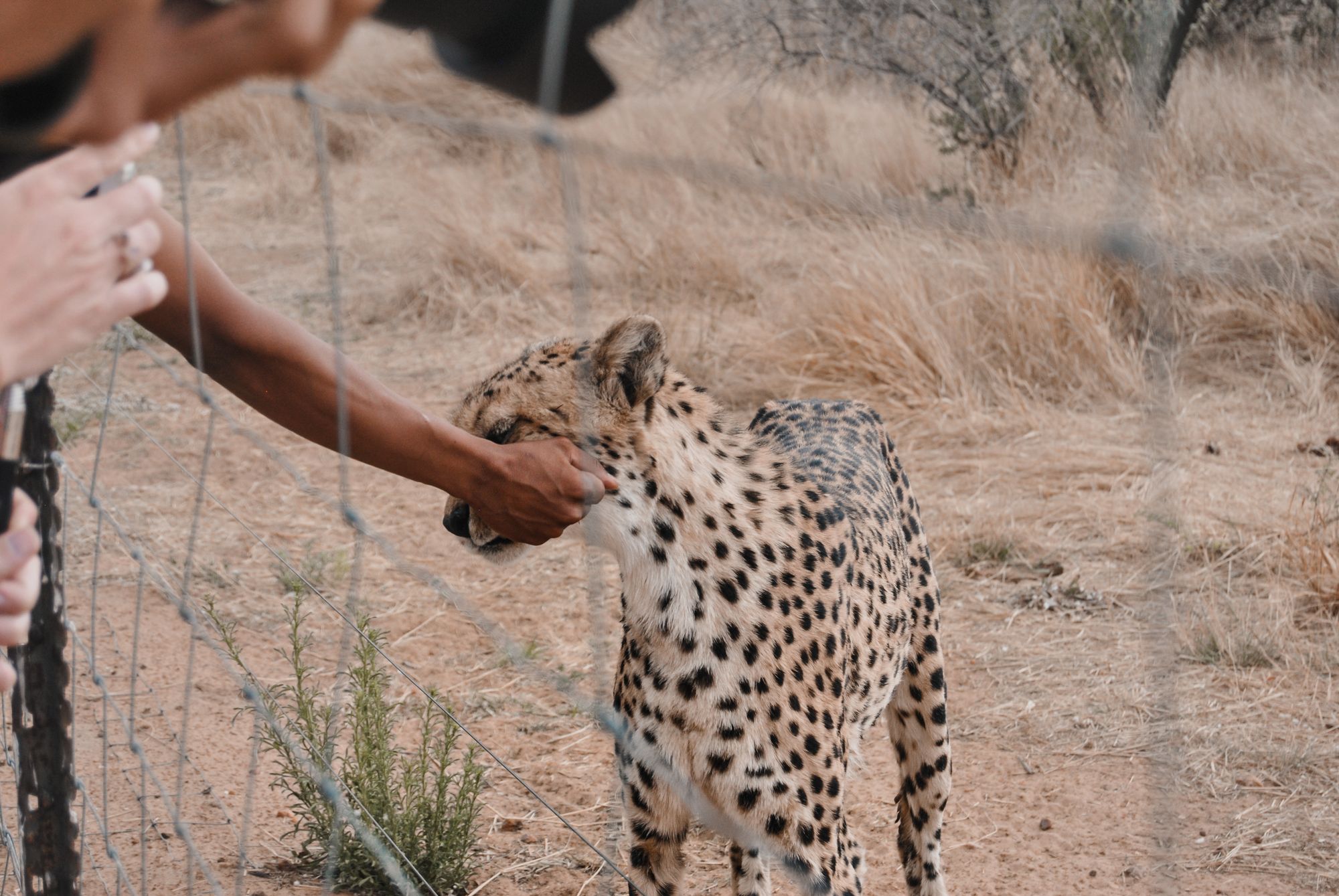 Naankuse Wildlife Sanctuary, Windhoek, Namibia