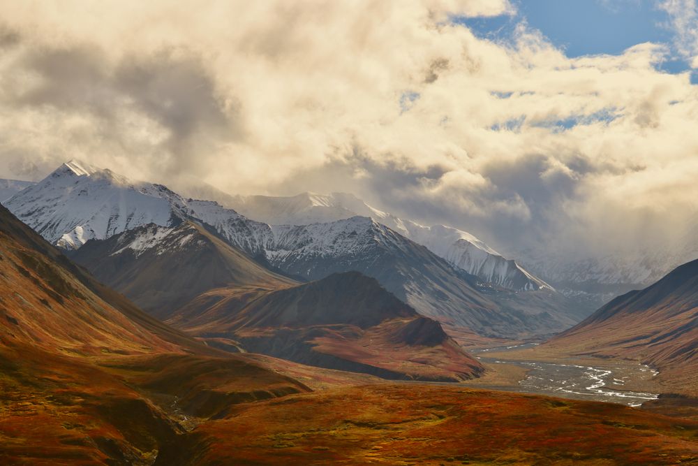 Denali National Park and Preserve