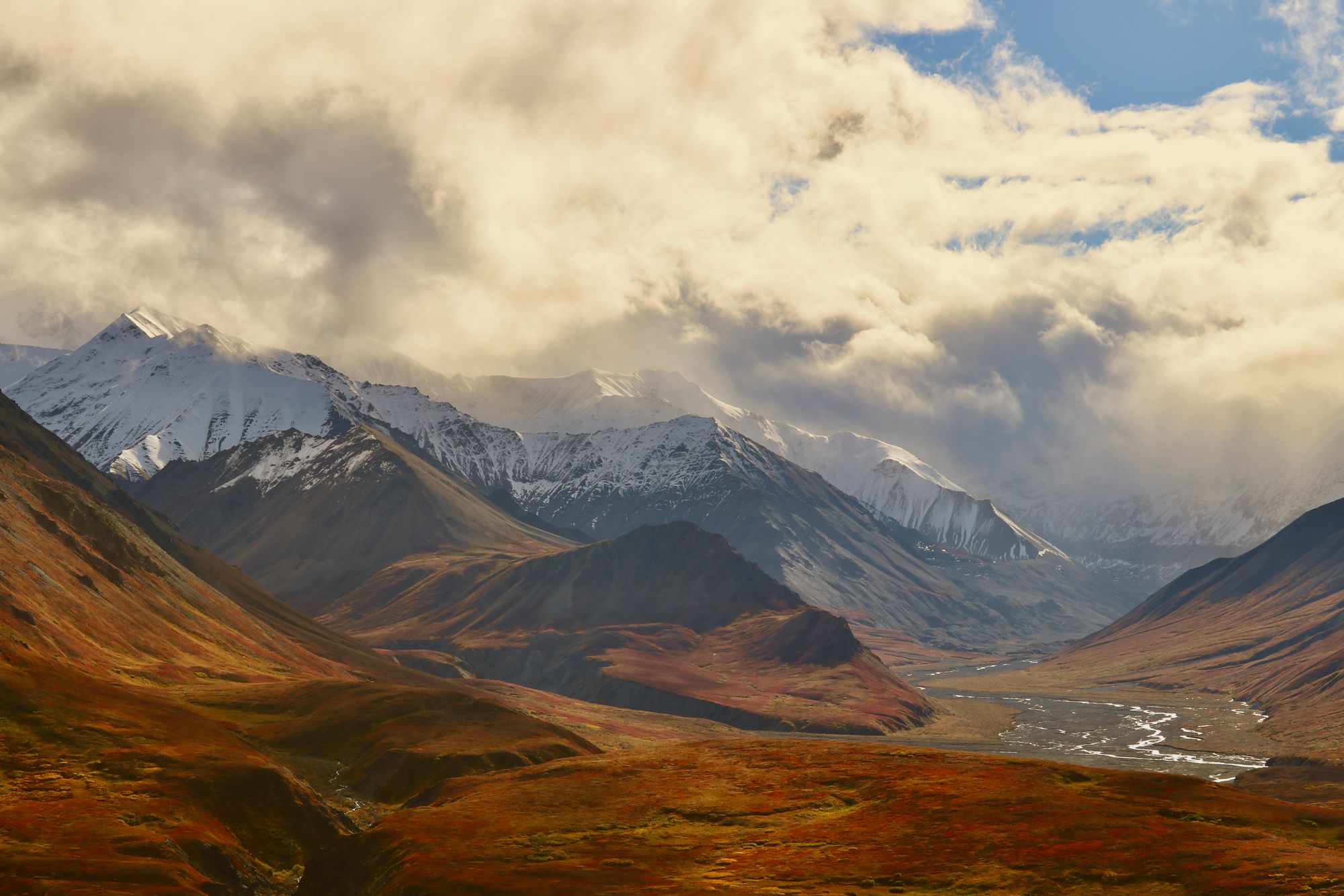 Denali National Park and Preserve, Healy, United States