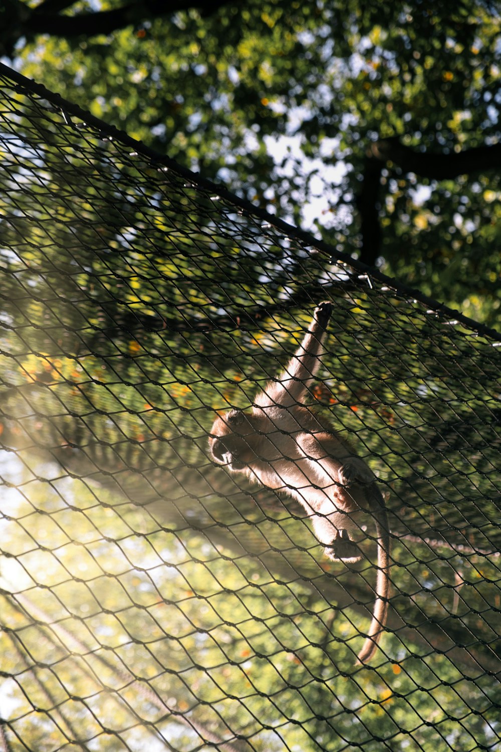 Basel Zoo