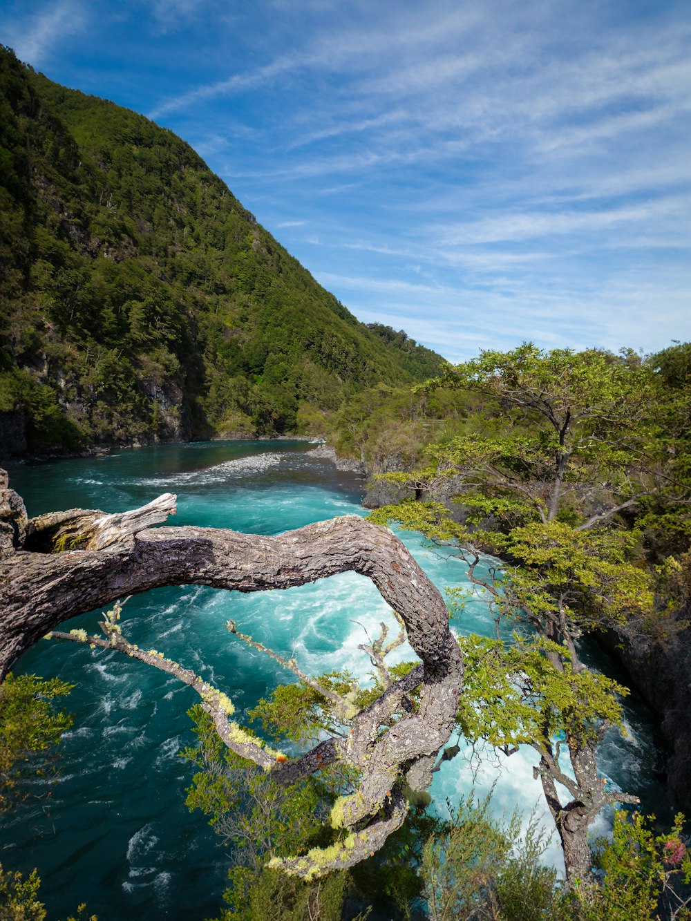 Río Petrohué