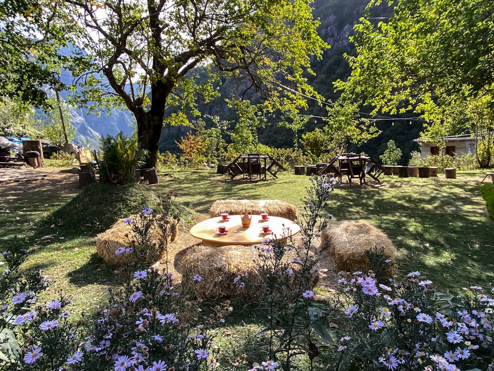 Theth National Park