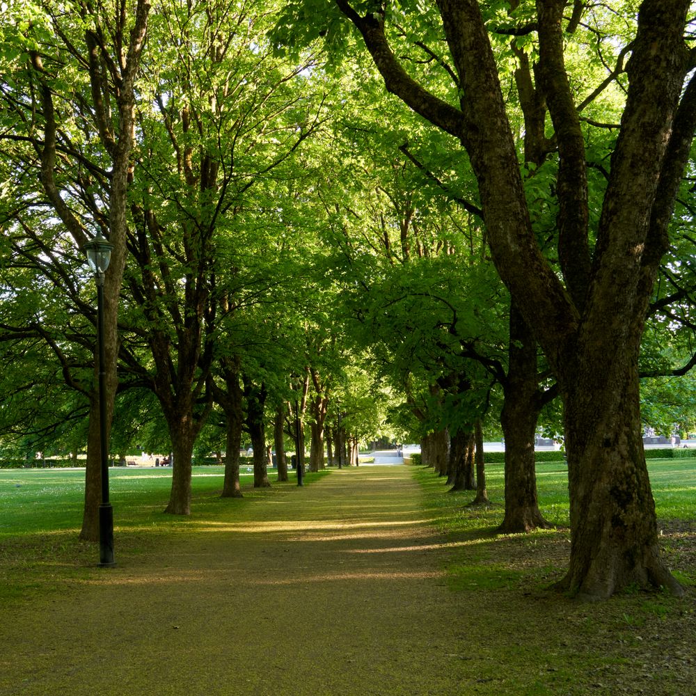 Akerselva river path
