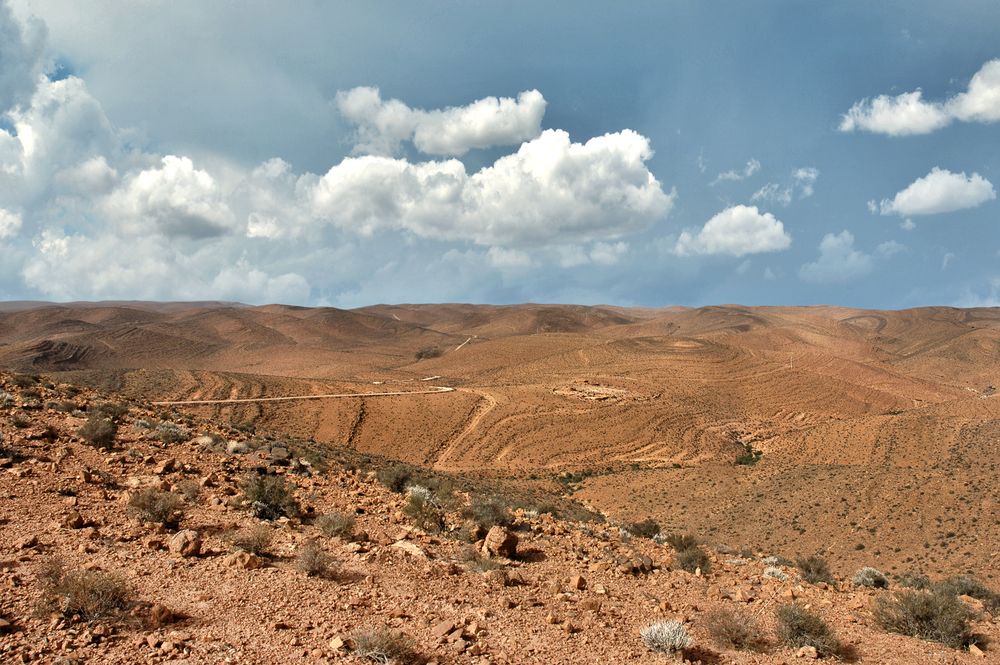 Souss-Massa National Park