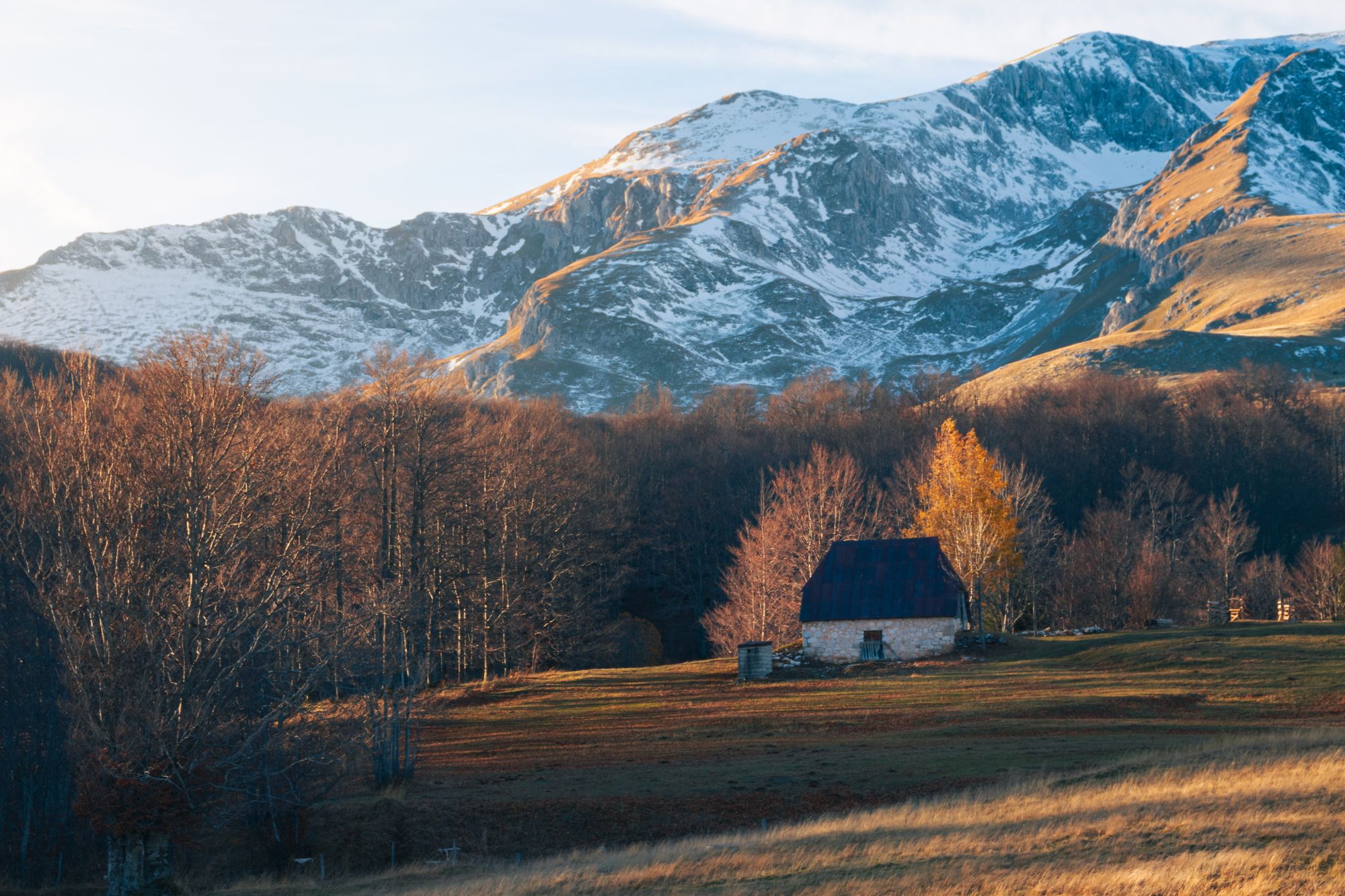 Žabljak