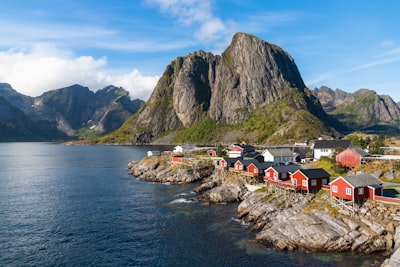 Reine