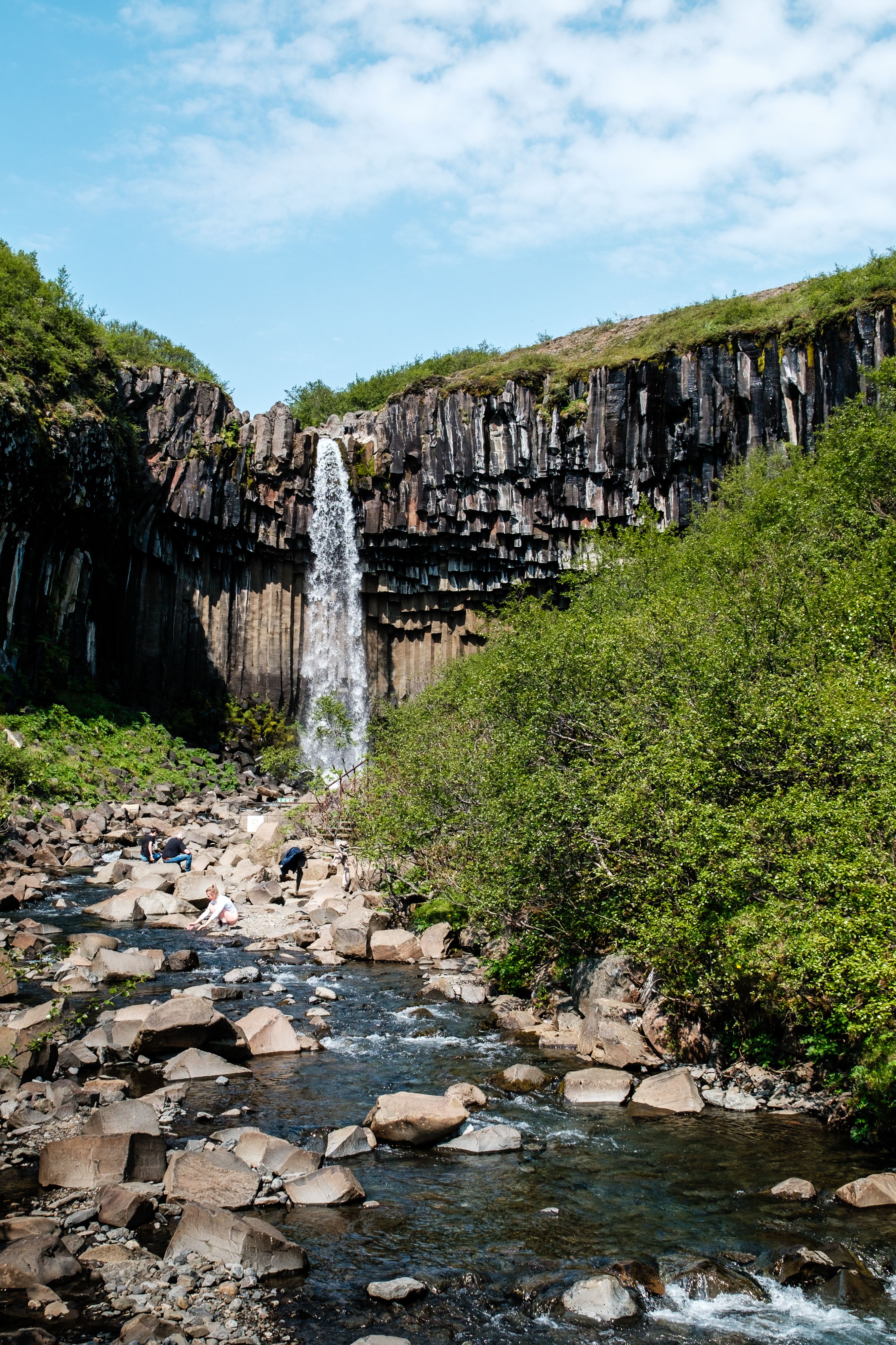 Svartifoss, Höfn, Iceland