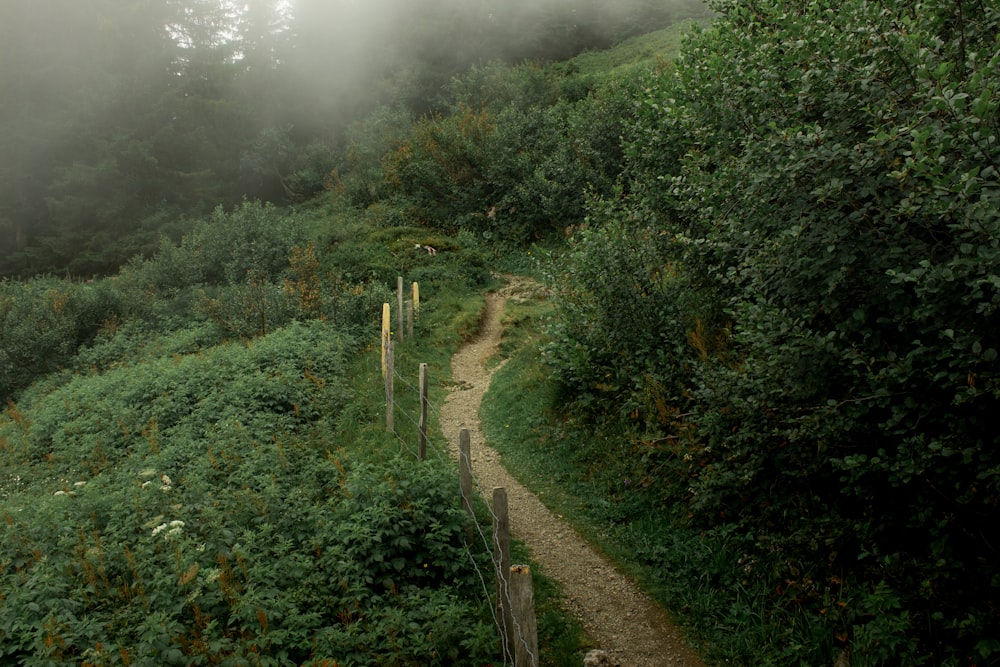 North Face Trail
