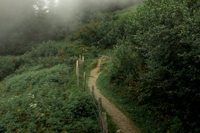 North Face Trail