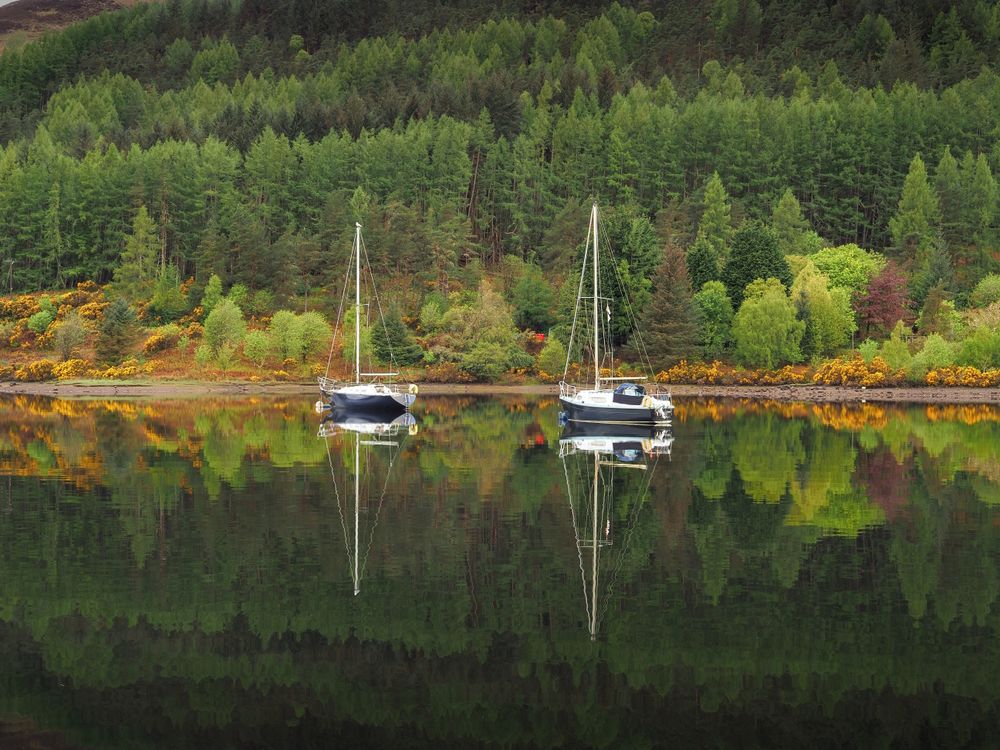 Loch Fleet
