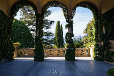 Villa Olmo
