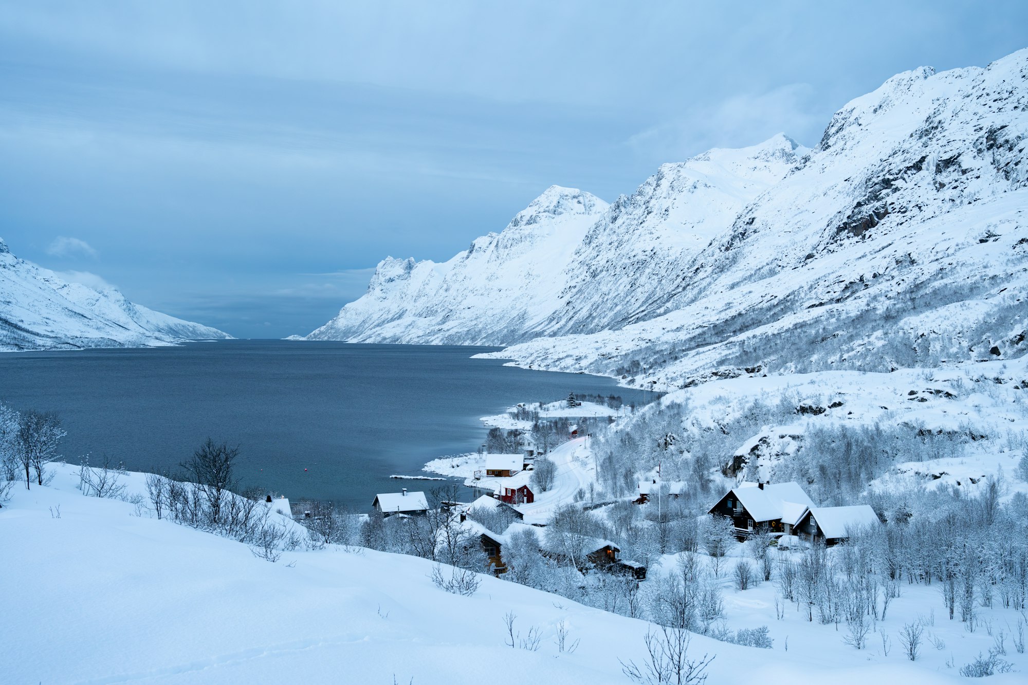 Tromsø arktisk-alpine botaniske hage