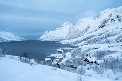 Tromsø arktisk-alpine botaniske hage