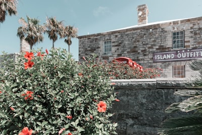 Bermuda Aquarium, Museum and Zoo