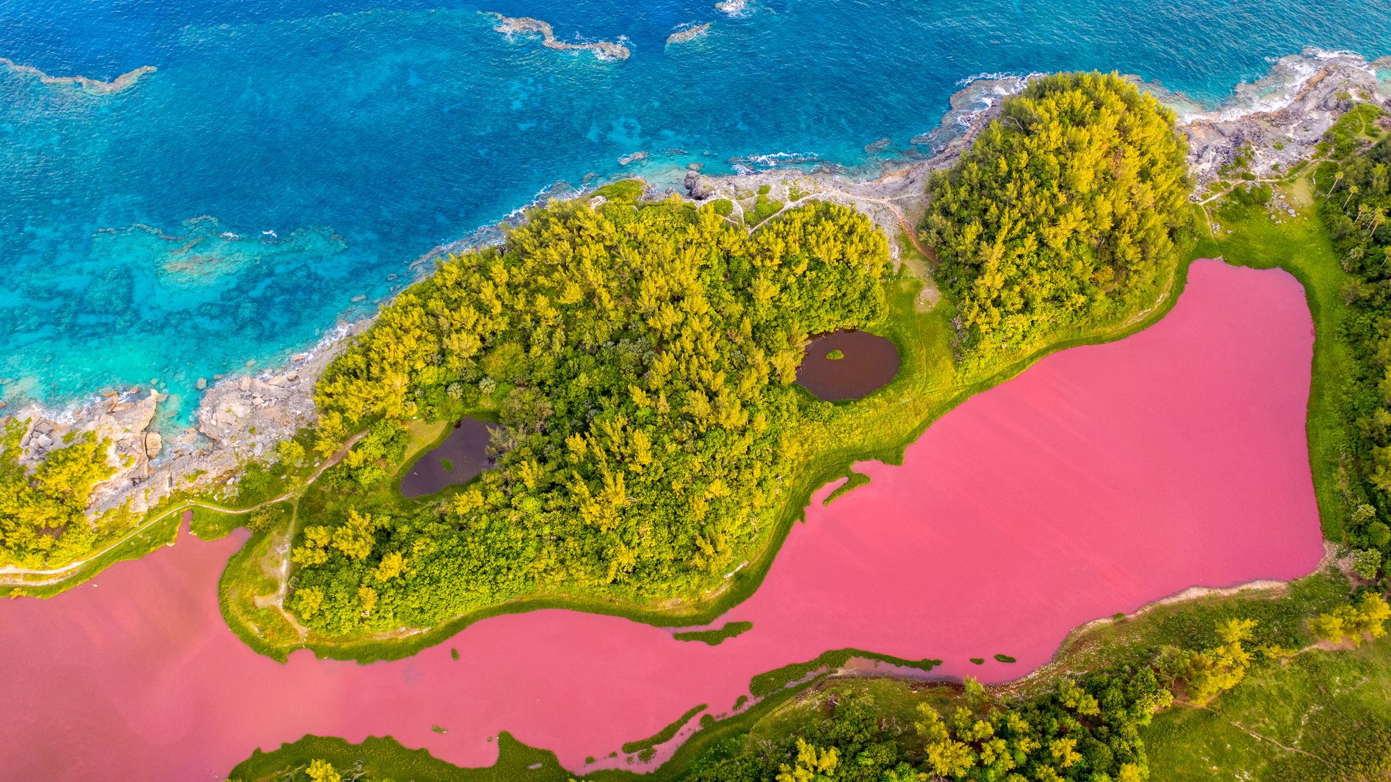 Spittal Pond, the woods and the south shore of Bermuda from the air